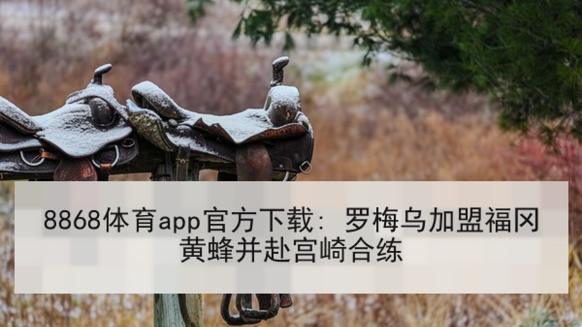 8868体育app官方下载: 罗梅乌加盟福冈黄蜂并赴宫崎合练