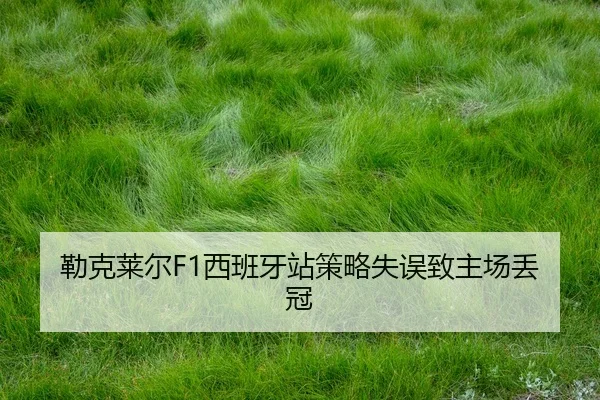 lei-ke-lai-er-xi-ban-ya-zhan-ce-lve-shi-wu-zhi-zhu-chang-diu-guan-2-198.jpg