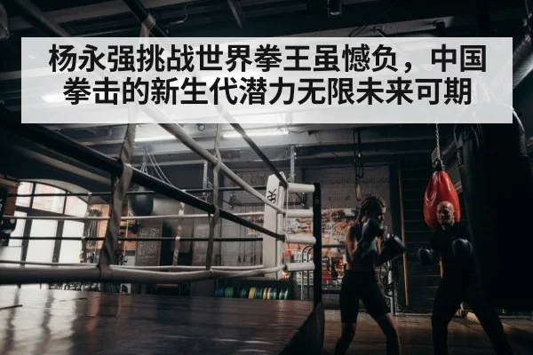 boxer training